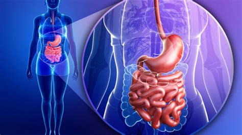 Digestive Diseases - UChicago Medicine