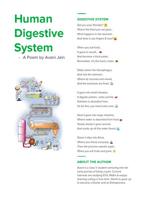 Digestive System Acrostic Poem