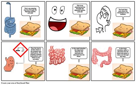 Digestive System Comic Strip Storyboard by 69dca7b0