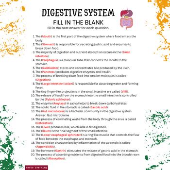 Digestive System Fill In The Blank Worksheet