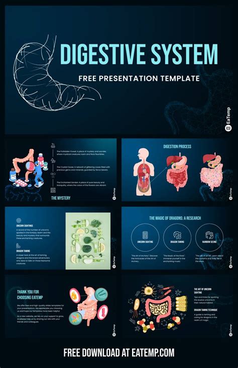 Digestive System PowerPoint Template YouTube