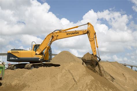 Digger Definition & Meaning - Merriam-Webster