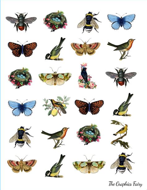 Digital Collage Sheet Spring The Graphics Fairy