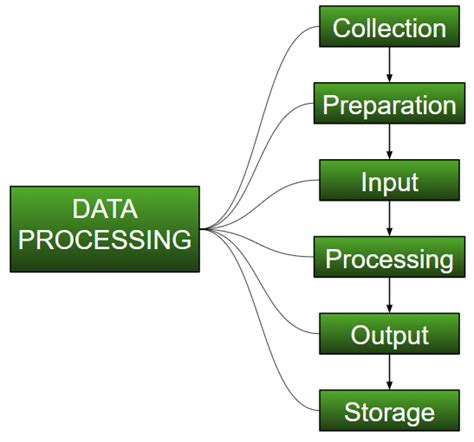 Digital Information Processed Into A Useful Form