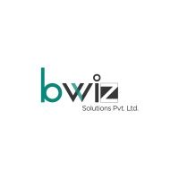 Digital Marketing – Bwiz Solutions Pvt. Ltd.