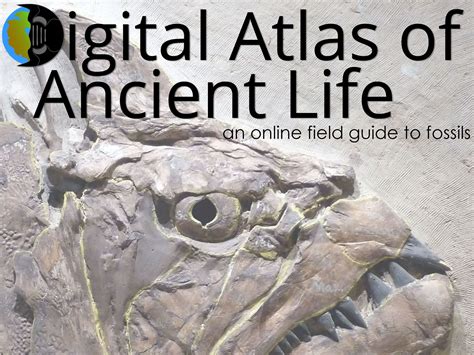 Digital atlas of ancient life. Things To Know About Digital atlas of ancient life. 