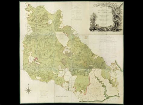 Digitisation of the Drivers’ Map of the New Forest