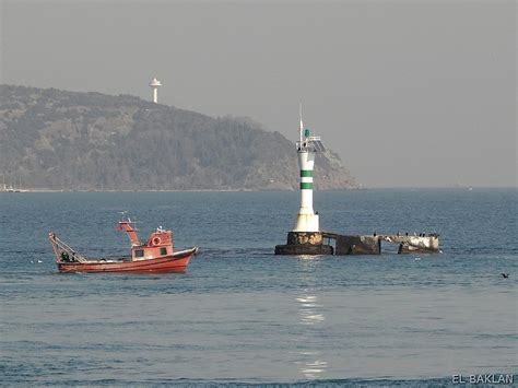 Dikilikaya Halı ve Koltuk Yıkama