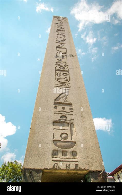 Dikilitas Halı ve Koltuk Yıkama