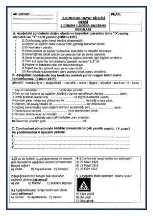 Dil Bilgisi Değerlendirme Soruları Nedir. 