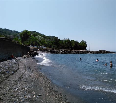 Dilektasi Halı ve Koltuk Yıkama