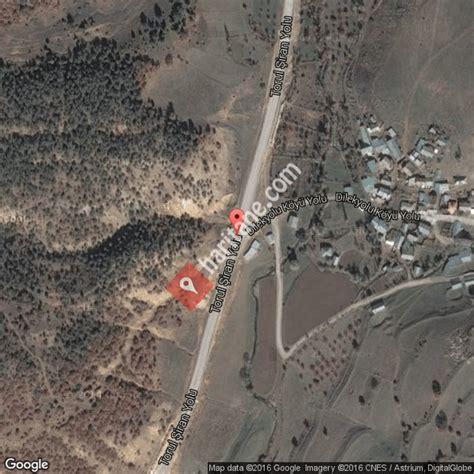 Dilekyolu Halı ve Koltuk Yıkama