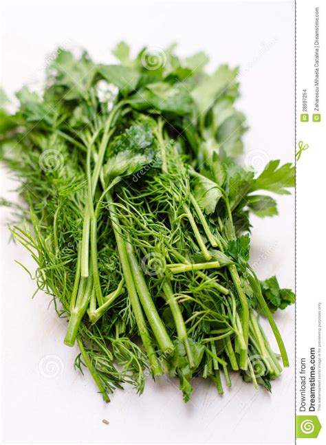 Dill and parsley. Be careful not to overflow the ice cube tray with water. Alternatively, put the chopped parsley in small freezer bags. 7. Freeze the parsley ice cubes for about 24 hours or until they are solidly frozen. 8. Store the parsley ice cubes in a freezer bag or airtight freezer-safe container. Use within 4-6 months. 