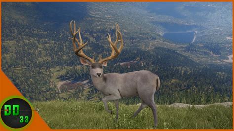 Dilute mule deer. Rare deer and diamond turkey. comments sorted by Best Top New Controversial Q&A Add a Comment. GimmeMyTea • Additional comment actions. Sorry to tell you, but dilute mule deer aren't rare, they are uncommon. Not worth wasting cash on taxing unless it's a diamond Reply Krispyz • ... 