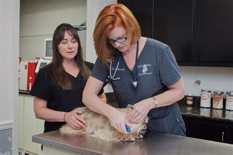 Dilworth animal hospital. At Dilworth Small Animal Hospital we strive to offer sound advice and the best possible veterinary care, so that you and your companion can enjoy many years... 