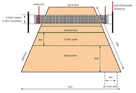 Dimensions Of Volleyball Court