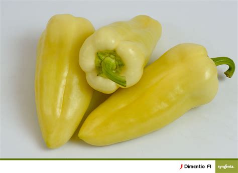 Dimetino Leaks [SEX VIDEO] 🍌 85 Videos