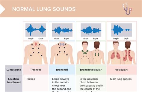 Diminished lung sounds HealthTap Online Doctor