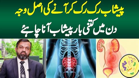 Din me kitni bar peshab aana chahiye. .  ...