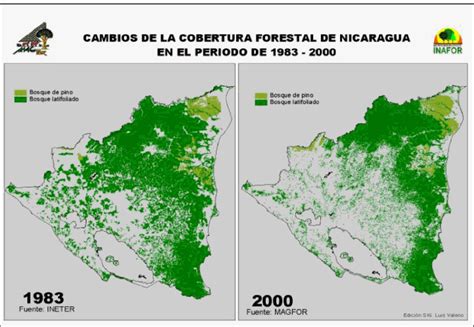 Dinámica del sector forestal en nicaragua, 1960 1995. - Estación del miedo o la desolación dispersa.