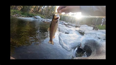 Dinkey Creek - Fly Fishing the Sierra