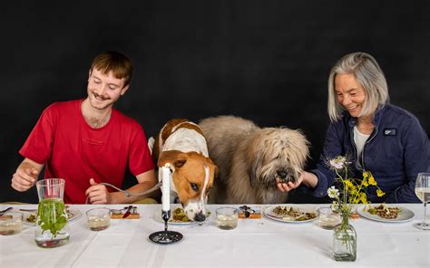 Dinner For Dogs