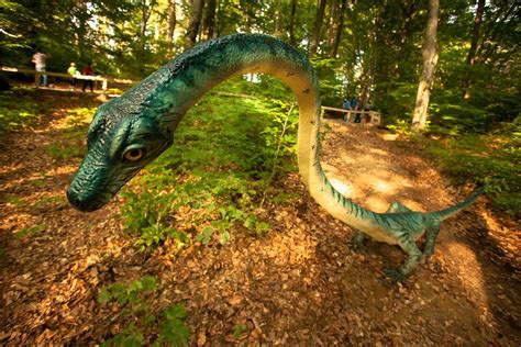 Dino Parc (Rasnov) - All You Need to Know BEFORE …