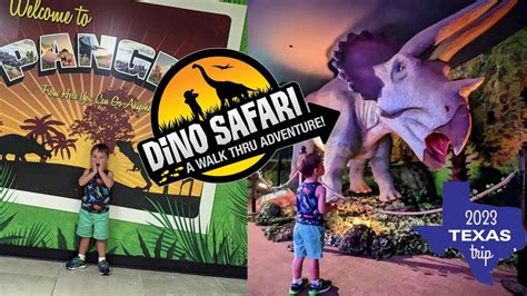 Dino safari san antonio. Things To Know About Dino safari san antonio. 