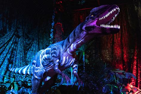 4.36 /5. based on 1454 reviews. Fever Exhibition and Experience Centre. Verified user reviews. Bec S. Jan 2024. It was great! Amazing dinosaurs displayed and set up really well. We really enjoyed it!. 