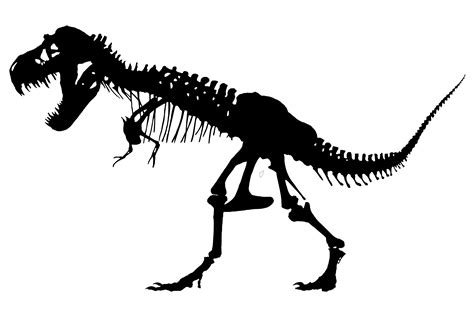 Dinosaur Bones PNG Transparent Images Free Download Vector …