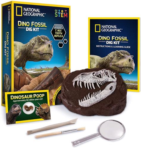 Dinosaur Fossils Toy, Archaeology Mini Dig Kit, x2 Dig Kits, Brand …