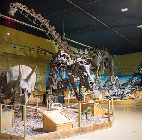 Dinosaur center wyoming. May 15 – September 14. Open 8:00 AM – 6:00 PM 7 days a week. Museum Admission. Adult (13-64) – $12.00. Senior (65 +) – $10.00. Child (4-12) – $10.00. … 
