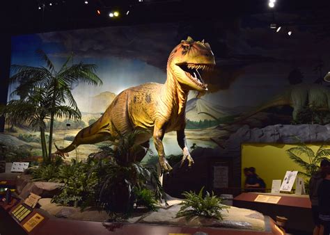 Looking for fun for the whole family to enjoy?Expedition Dinosaur, this time featuring Dinosaurs from Stage Nine Exhibits is coming to the Wilbur D. May Museum. 