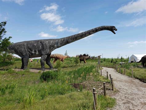 Dinosaur kansas. Apr 7, 2023 · TOPEKA (KSNT) – Governor Laura Kelly signed a bipartisan bill Friday to designate an official state land fossil. Known as the only known dinosaur from the Dakota Formation in Kansas, Silvisaurus ... 