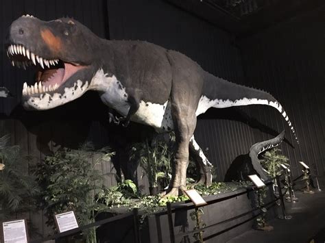 Dinosaur museum near me. Things To Know About Dinosaur museum near me. 