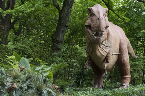 Dinosaur Safari asks visitors to the zoo to traverse a path filled with 52 life-sized dinos and pterosaurs through a wooded area, where they will see the largest flying animal to ever live (the ....