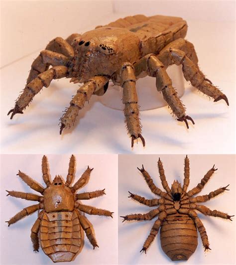 Dinosaur spiders. Oct 5, 2023 · THURSDAY, OCTOBER 05, 2023 A giant “dinosaur age” trapdoor spider fossil has been unearthed from McGraths Flat in central New South Wales, Australia. The Zoological Journal of the Linnean Society described the amazing preservation of fauna and flora of the McGraths Flat; 