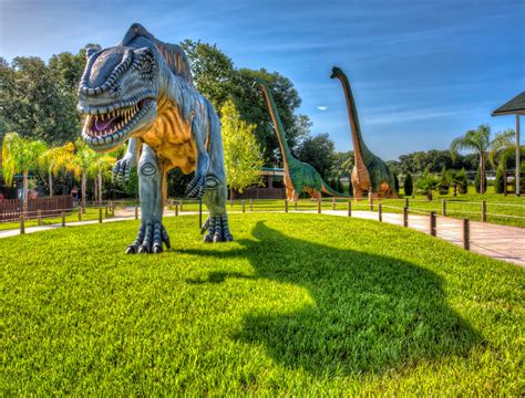 Dinosaur world florida. As I said, dinosaurs might be extinct, but their wow factor is alive and well! The park is open daily from 9:00 a.m. to 5:00 p.m., and Dinosaur World tickets are $19.95 for adults and $14.95 for children ages 3 to 12. (Ages 2 and under are freebies!) General admission gives you access to the expansive outdoor park/dino zoo, the playground, the ... 