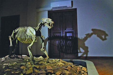 Dinozor müzesi türkiye