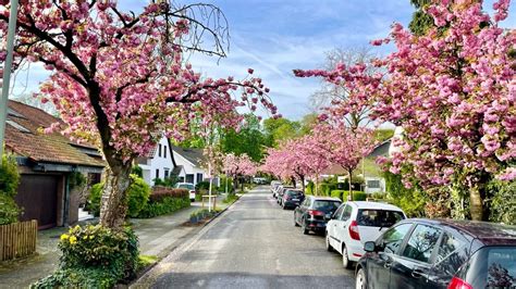 Dinslaken blumenviertel.  Finde g&uuml;nstige Immobilien zur Miete. 000 Menschen leben in diesem ...
