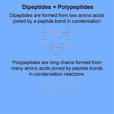 Dipeptides