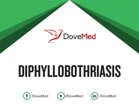 Diphyllobothriasis - DoveMed