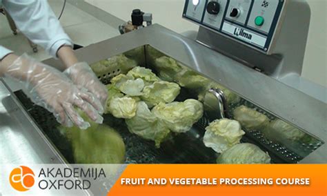 Diploma Programme In Fruit Vegetable Processing And