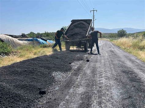 Direcik Halı ve Koltuk Yıkama