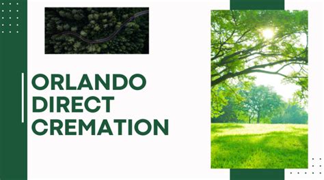Direct cremation orlando. .  ...