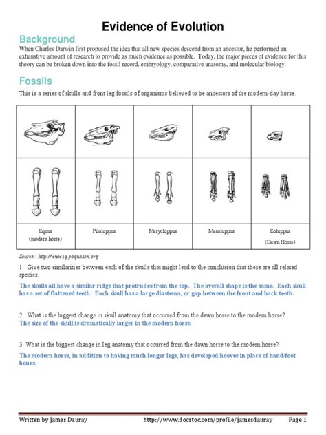 Directed Section Examples Of Evolution Answer Key