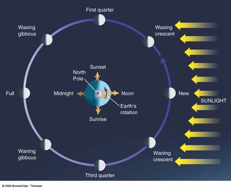 Direction of moon rise. Things To Know About Direction of moon rise. 