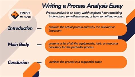 Directive Process Analysis Essay Sample Best Writing Service