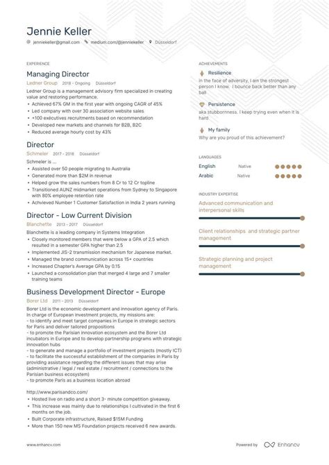 Director Resume Example and guide for 2020