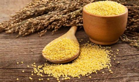 Directory of Millets Buyers & importers in United States